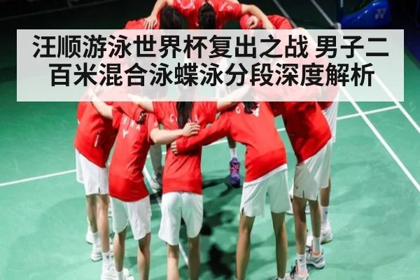 汪顺游泳世界杯复出之战 男子二百米混合泳蝶泳分段深度解析